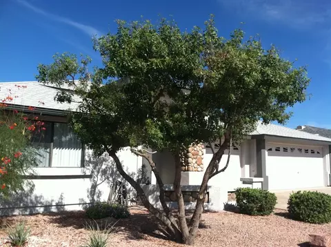 11448 E Milagro Ave, Mesa, AZ 85209 photo 10