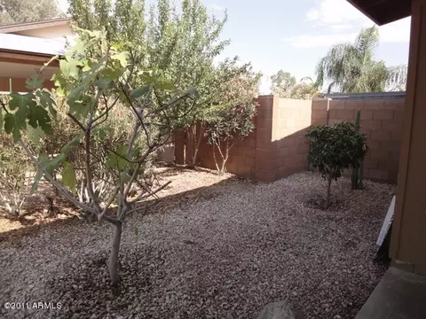 2427 E Sylvia St, Phoenix, AZ 85032 photo 28