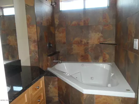 9903 E Flossmoor Ave, Mesa, AZ 85208 photo 16