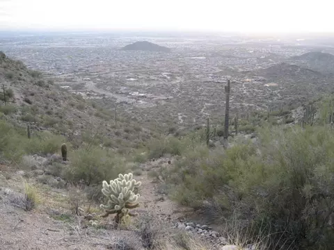 7261 E Nathan St, Mesa, AZ 85207 photo 29