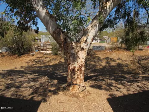 10033 N 9th Ave, Phoenix, AZ 85021 photo 10