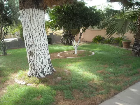 2017 E Howe Ave, Tempe, AZ 85281 photo 2
