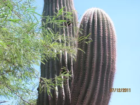 4246 E Meadow Dr, Phoenix, AZ 85032 photo 27
