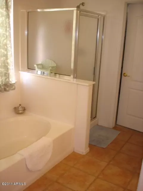 11429 E Downing St, Mesa, AZ 85207 photo 10