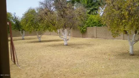 3931 E June St, Mesa, AZ 85205 photo 11