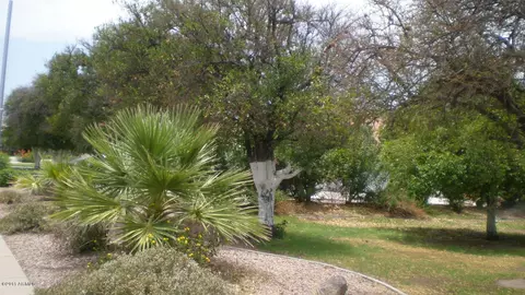 3931 E June St, Mesa, AZ 85205 photo 3