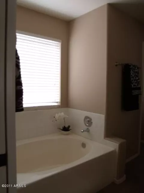 3437 E Rosemonte Dr, Phoenix, AZ 85050 photo 10