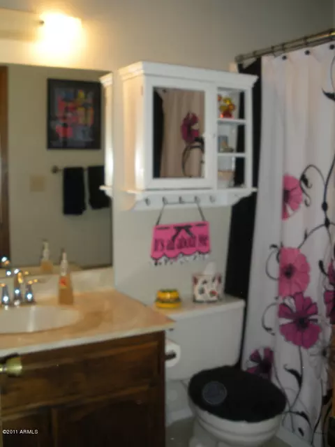 2010 E Downing St, Mesa, AZ 85213 photo 18