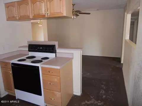 256 E Garnet Ave, Mesa, AZ 85210 photo 15