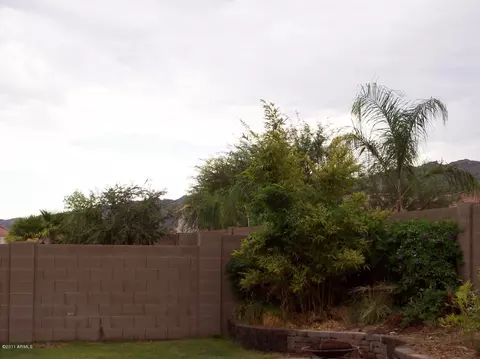 1101 E Gwen St, Phoenix, AZ 85042 photo 11