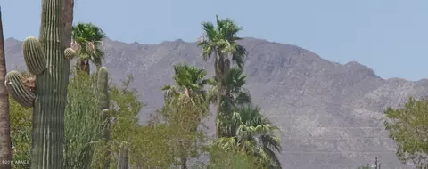 444 S Copper Dr, Apache Junction, AZ 85120 photo 10