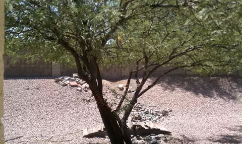 809 E Marconi Ave, Phoenix, AZ 85022 photo 23