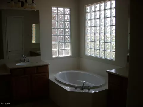 3909 E Half Hitch Pl, Phoenix, AZ 85050 photo 12