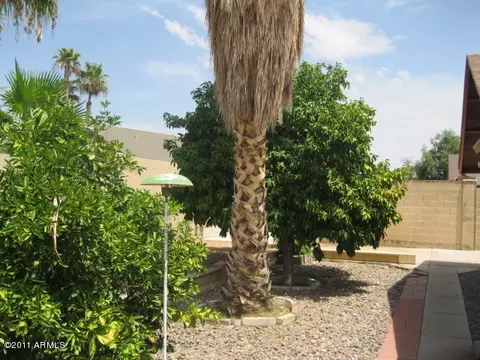 6120 Evergreen St, Mesa, AZ 85205 photo 39