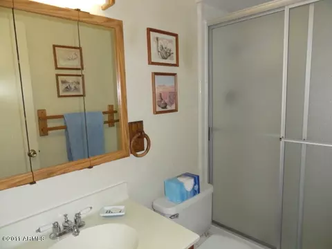 132 E Colgate Dr, Tempe, AZ 85283 photo 20