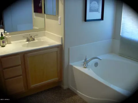 7032 E Roland St, Mesa, AZ 85207 photo 15