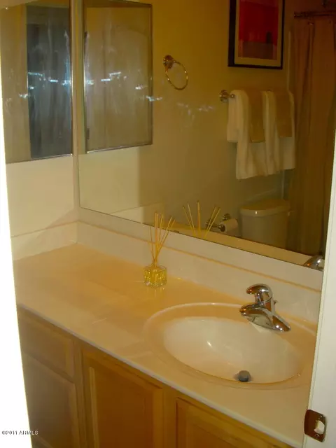 7032 E Roland St, Mesa, AZ 85207 photo 18