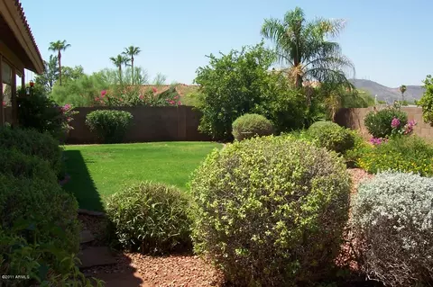 728 E Acoma Dr, Phoenix, AZ 85022 photo 20