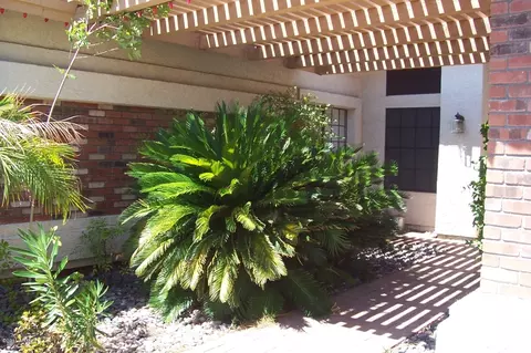 728 E Acoma Dr, Phoenix, AZ 85022 photo 2