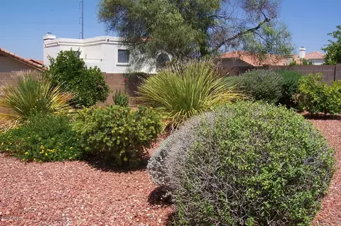 728 E Acoma Dr, Phoenix, AZ 85022 photo 21