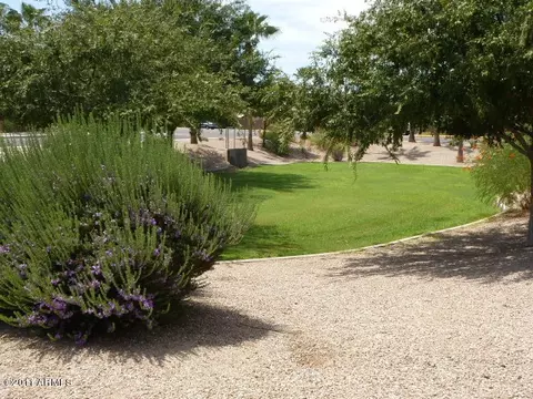 46 E Gail Dr, Gilbert, AZ 85296 photo 13