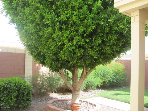 7006 E Jensen St #42, Mesa, AZ 85207 photo 1
