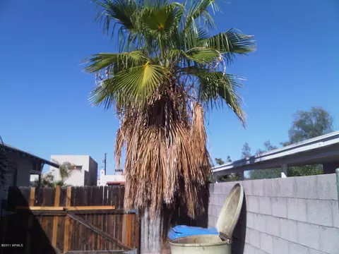 2505 N Mitchell St, Phoenix, AZ 85006 photo 9