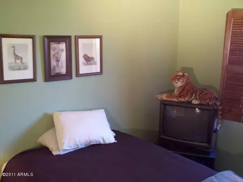 4405 E Arapahoe St, Phoenix, AZ 85044 photo 11
