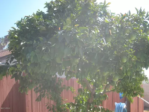 1220 E Kerry Ln, Phoenix, AZ 85024 photo 20