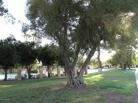 1704 E Penny Dr, Tempe, AZ 85282 photo 5