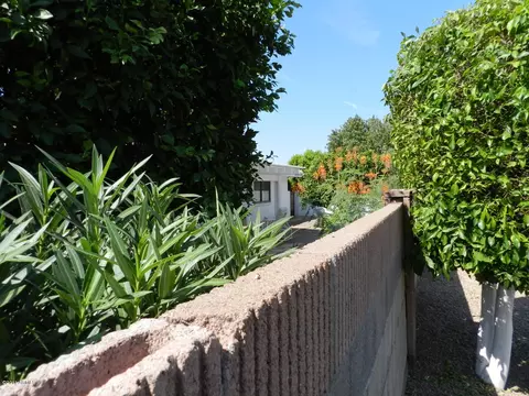 4516 E Carmel Ave, Mesa, AZ 85206 photo 4
