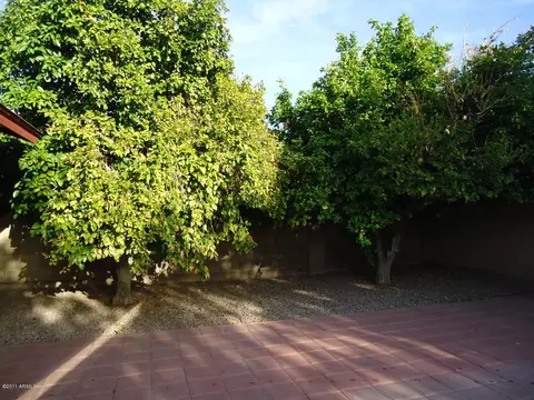 619 E Palomino Dr, Gilbert, AZ 85296 photo 17