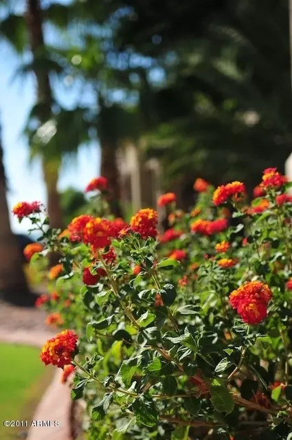 1830 E Lynx Pl, Chandler, AZ 85249 photo 7