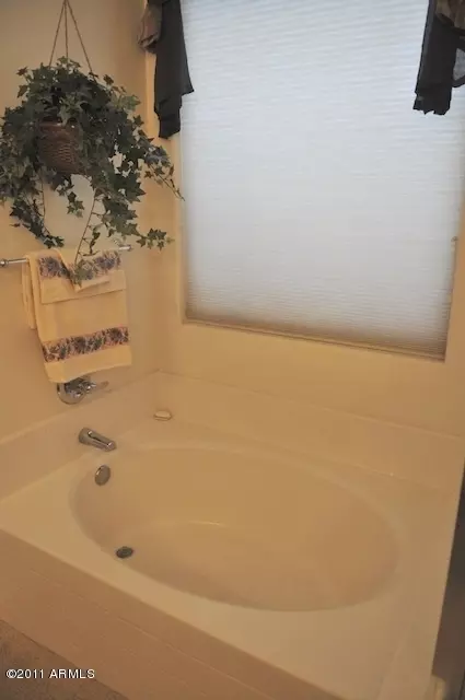 1830 E Lynx Pl, Chandler, AZ 85249 photo 38