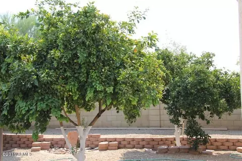 604 S Sahuaro Dr, Gilbert, AZ 85233 photo 15