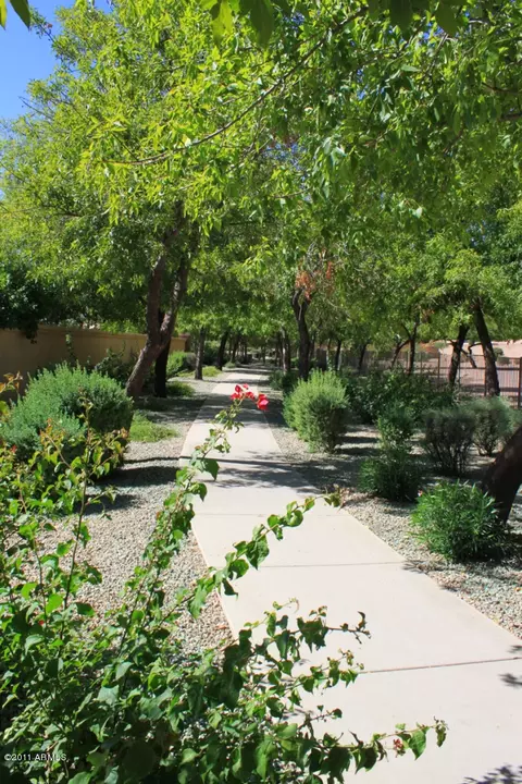 1033 E Bart St, Gilbert, AZ 85295 photo 29