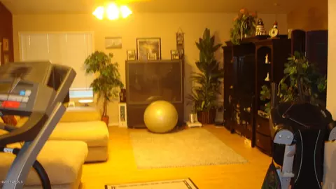 2461 E Los Alamos St, Gilbert, AZ 85295 photo 40