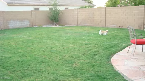 2461 E Los Alamos St, Gilbert, AZ 85295 photo 28