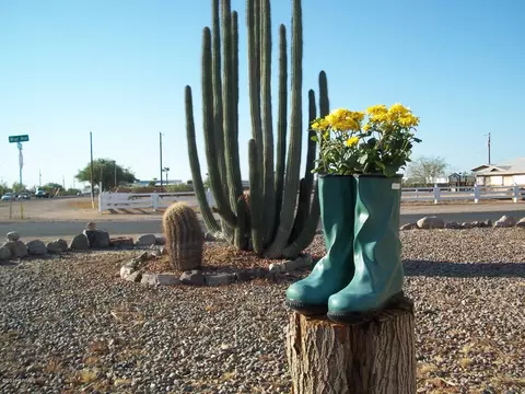 538 S Meridian Rd, Apache Junction, AZ 85120 photo 7