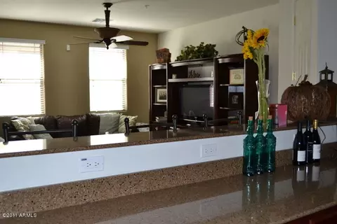 3131 E Darrow St, Phoenix, AZ 85042 photo 4