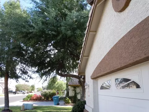 875 W Spur Ave, Gilbert, AZ 85233 photo 6