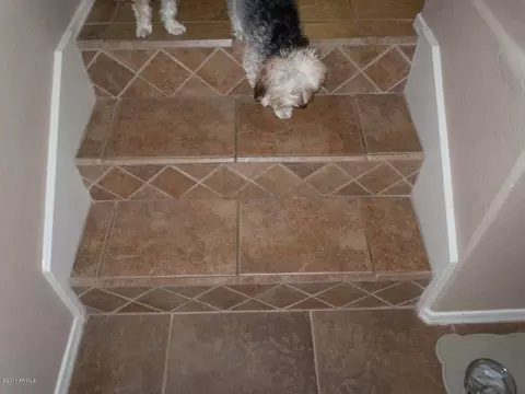 875 W Spur Ave, Gilbert, AZ 85233 photo 9