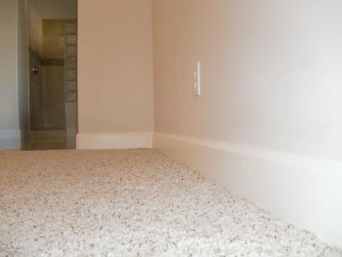 2802 E Windrose Dr, Phoenix, AZ 85032 photo 45
