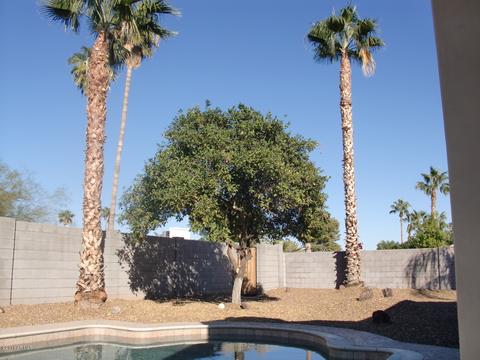 2802 E Windrose Dr, Phoenix, AZ 85032 photo 65