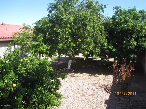 5005 E Forge Ave, Mesa, AZ 85206 photo 14
