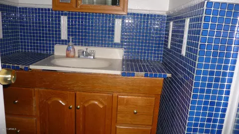 3005 E Cypress St, Phoenix, AZ 85008 photo 9