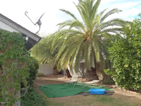 1726 E Paradise Ln, Phoenix, AZ 85022 photo 8
