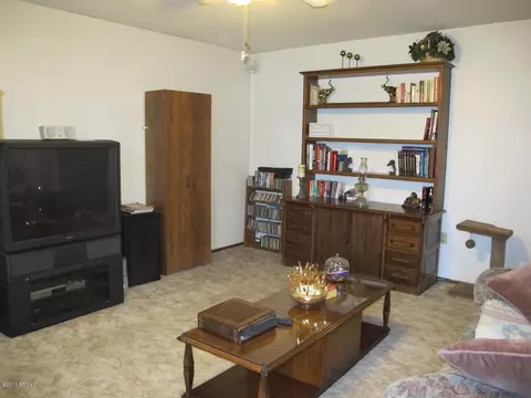 3103 E Delta Ave, Mesa, AZ 85204 photo 4