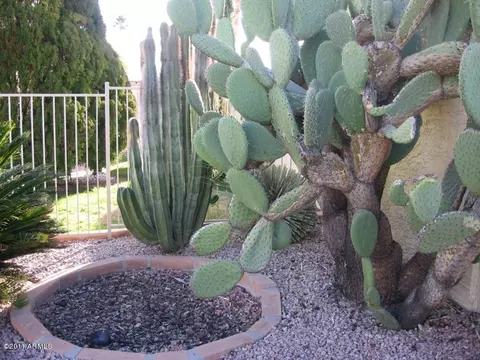 1830 E Riviera Dr, Tempe, AZ 85282 photo 9