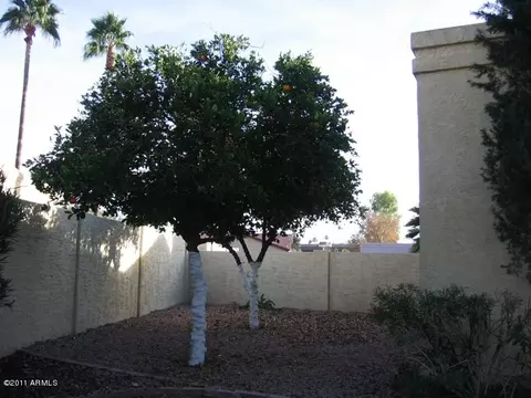 1830 E Riviera Dr, Tempe, AZ 85282 photo 8